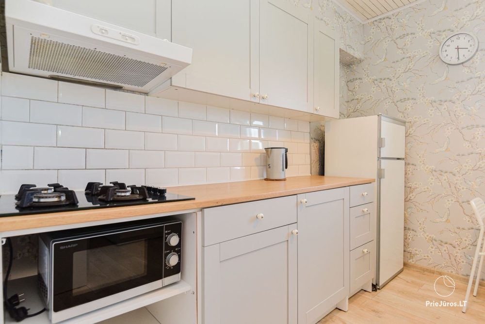 Cosy apartment for rent in Palanga, not far from the sea - 1