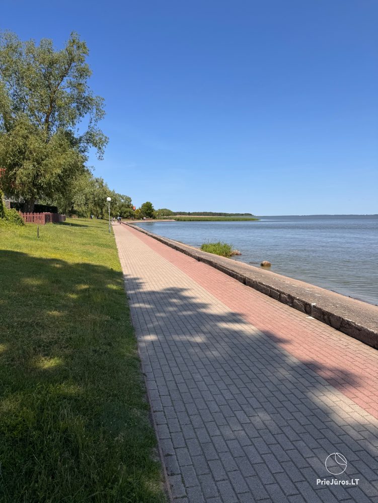 Studio apartment in Nida: on the ground floor, overlooking the lagoon, an arbor with garden furniture in the yard