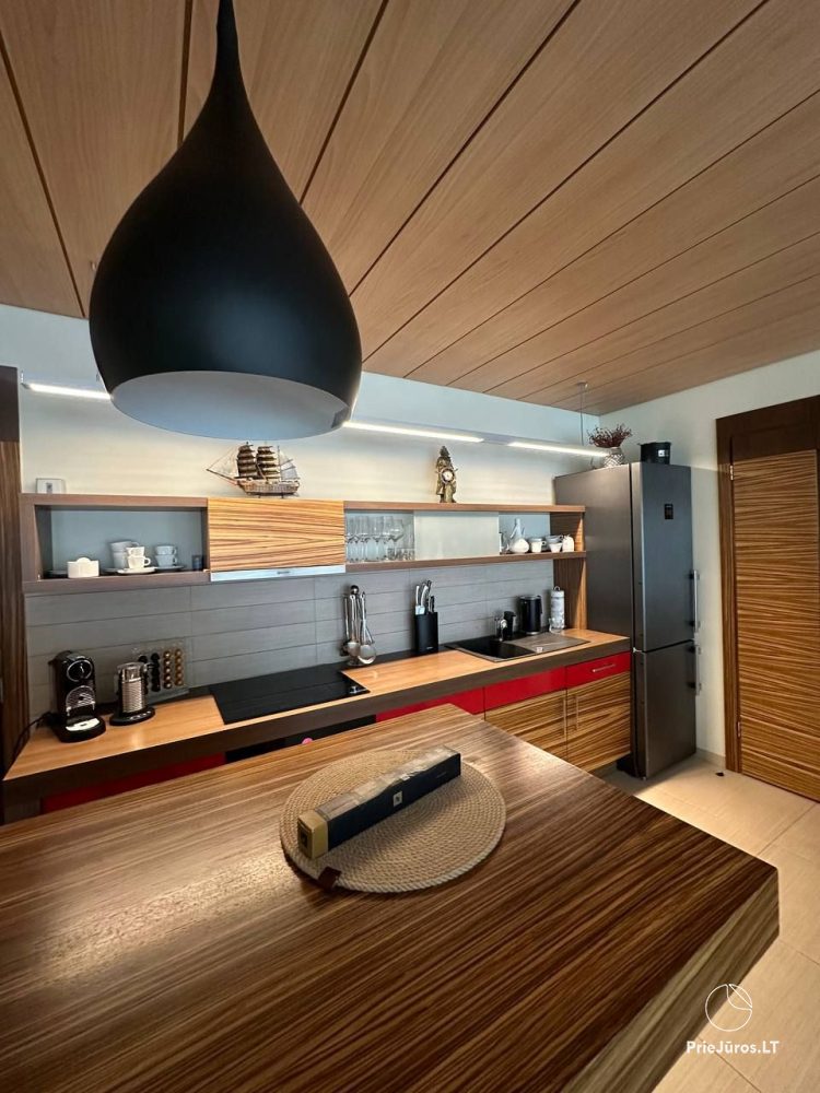 Luxury apartment in Palanga, very close to the sea in Vanagupes street