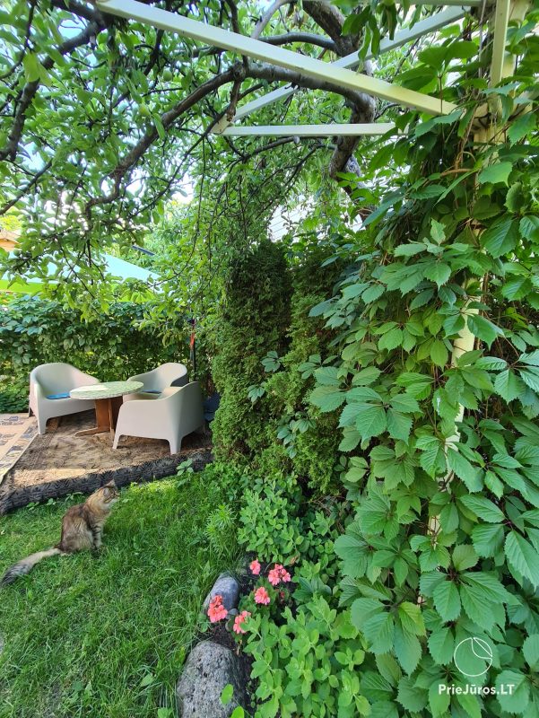 Wooden house and apartment with all facilities and a patio in Palanga