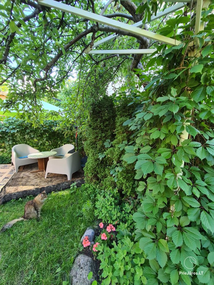 Wooden house and apartment with all facilities and a patio in Palanga - 1