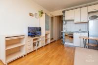 One bedroom apartment for rent in Nida