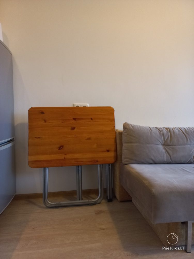One bedroom apartment for rent in Nida