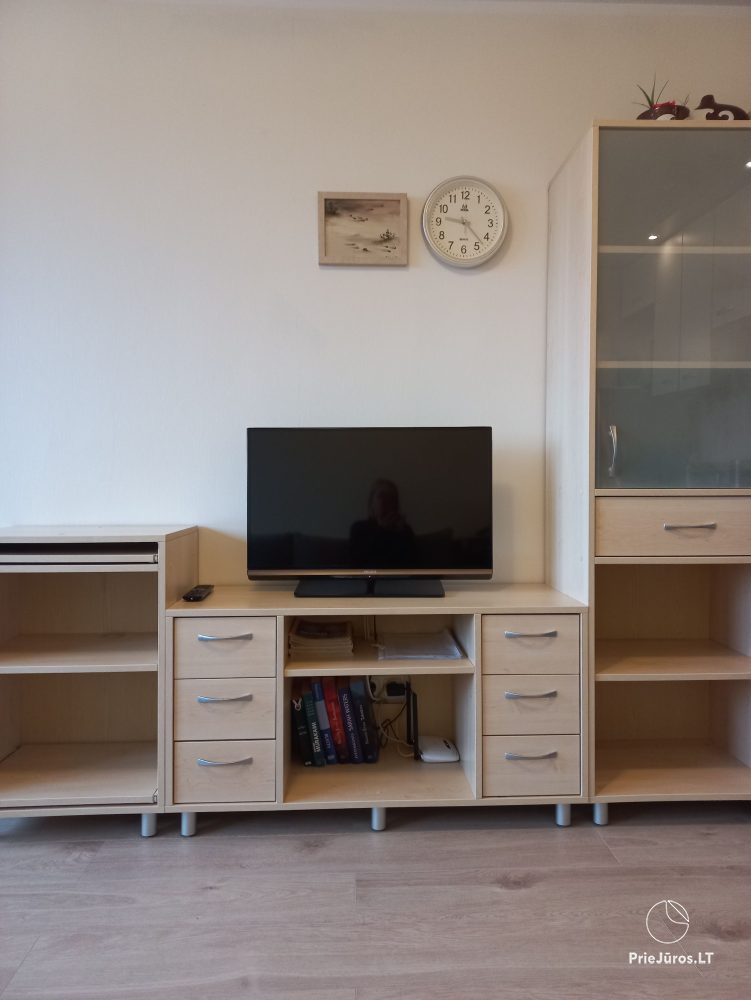 One bedroom apartment for rent in Nida
