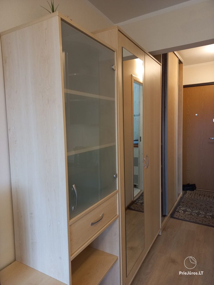 One bedroom apartment for rent in Nida