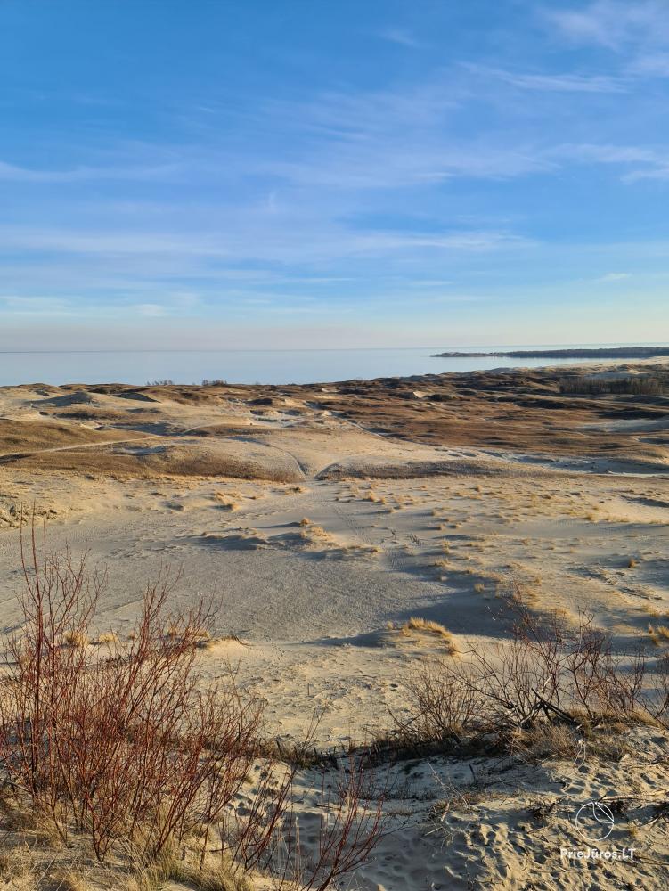Accommodation in Curonian Spit Nida paradise