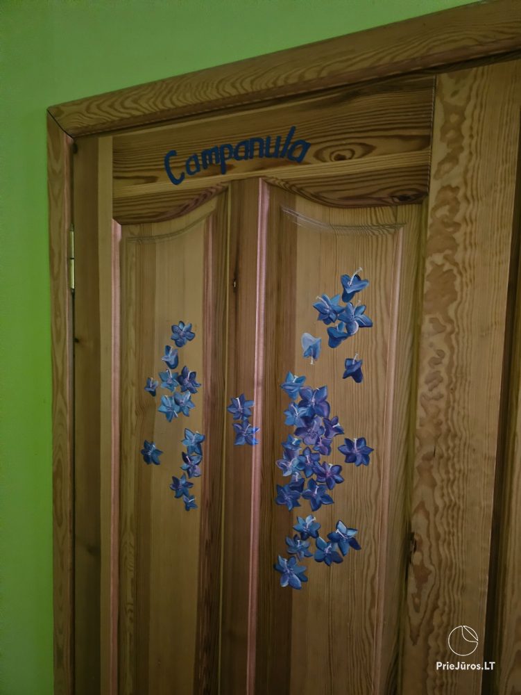 Accommodation in Curonian Spit Nida paradise