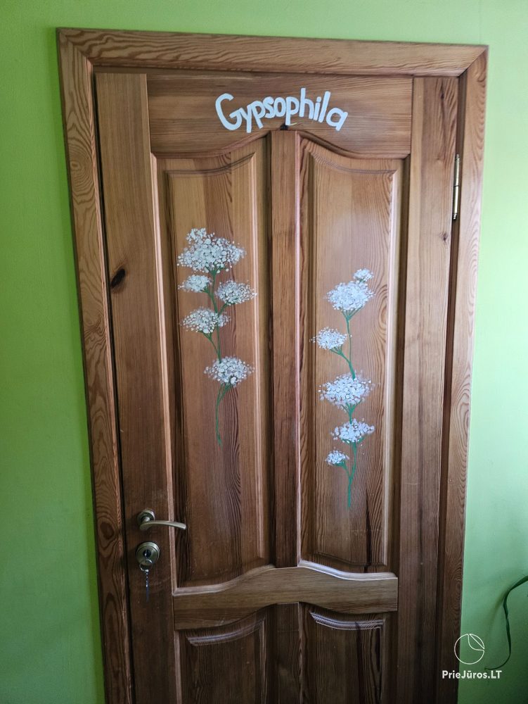 Accommodation in Curonian Spit Nida paradise