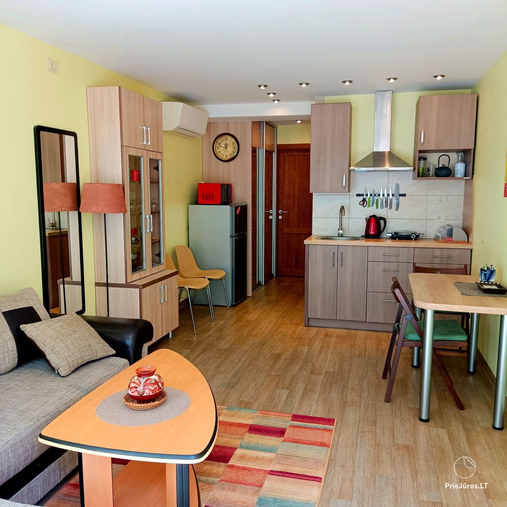 Two-room apartment for rent in Nida