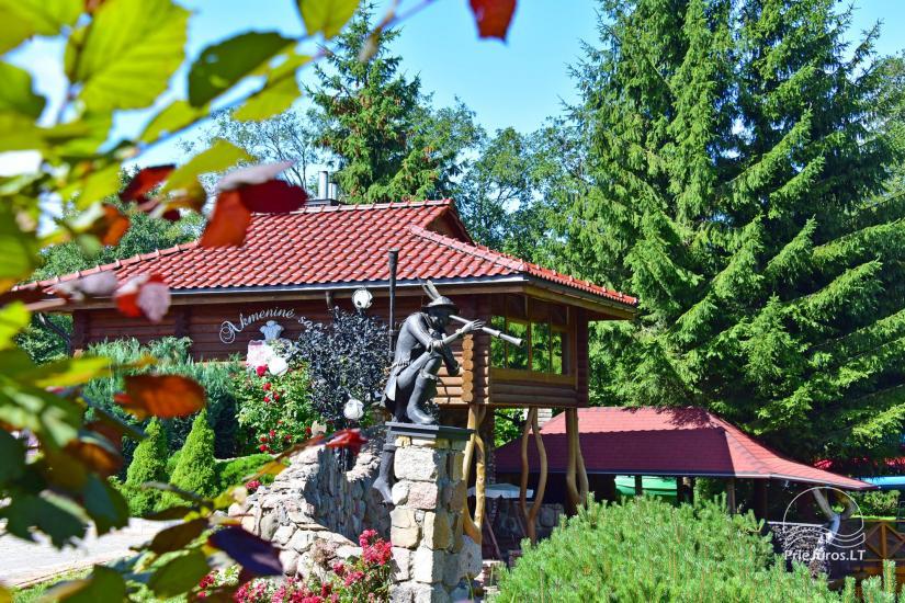 Holiday villa with sauna for up to 8 persons AKMENINĖ SALA - 1