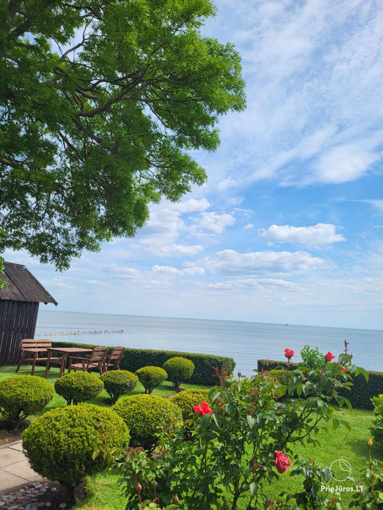 One-room apartment and double room in Nida in a house on the shore of the Curonian lagoon - 1