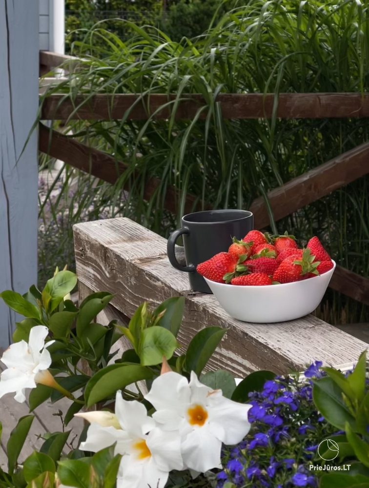 Ošupio Vasarnamis - summerhouses and apartments for rent in Sventoji