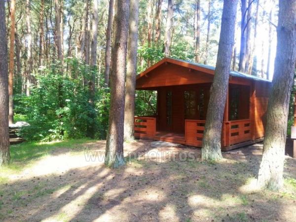 Wooden House Rent in Sventoji, in pine forest