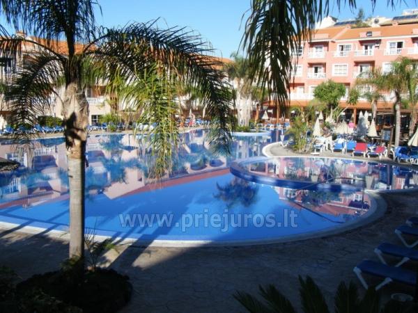 Cottage with large pool in Tenerife - 1