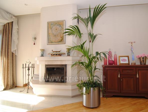 Luxuriously furnished apartments for rent in Palanga