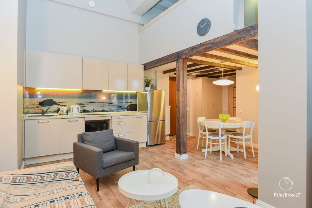 Loft apartment No. 3