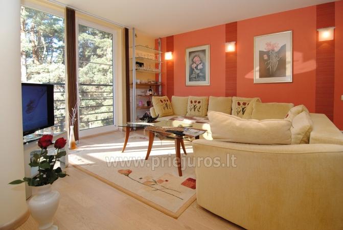 Apartment in Palanga. Nearby seaside pineforest, close to the beach