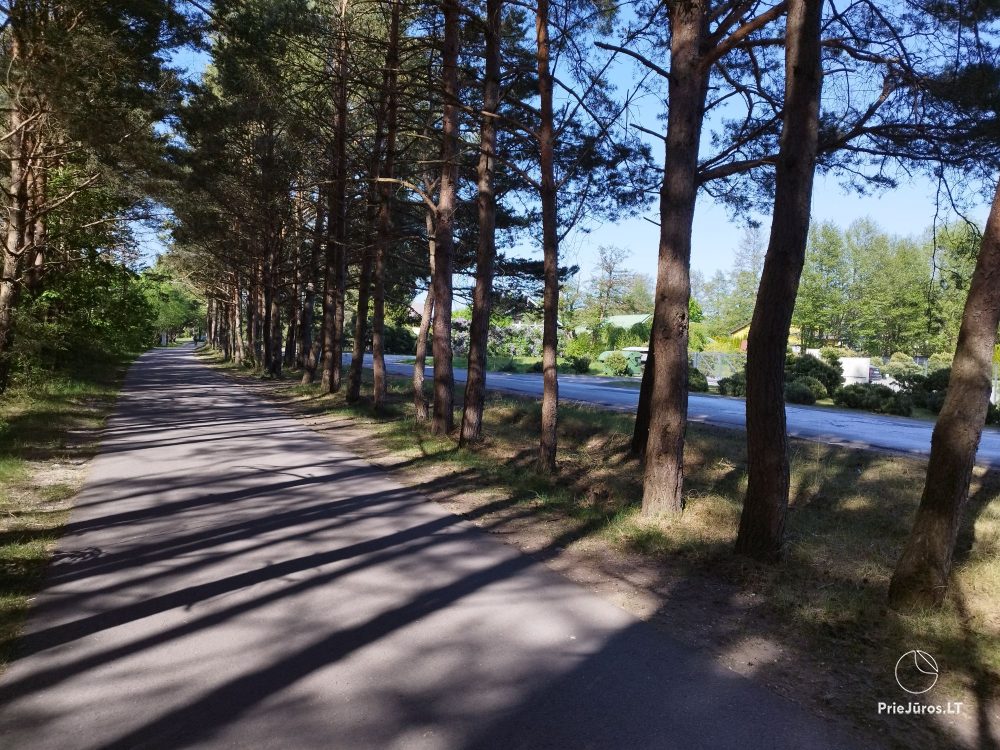 Flat for rent in Kunigiškiai. Just 200 meters to the sea!