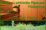 Sauna with bathhouse attendant in Klaipeda