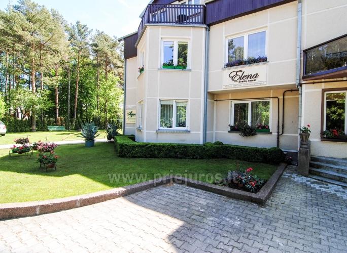 Гостевой дом в Паланге «Elena» в тихом месте, рядом с сосновым лесом.