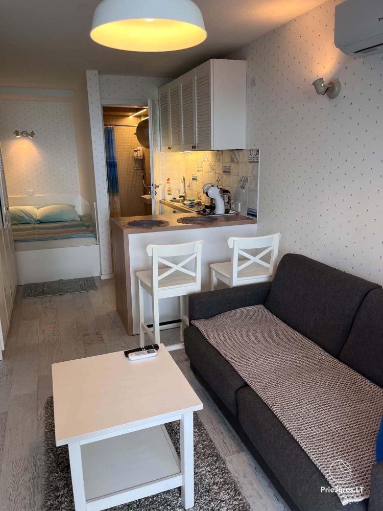 Flat (20 sq.m.) with terrace for rent in Nida, on the shore of the lagoon