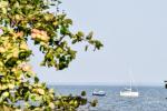 Apartment for rent in Preila, near the lagoon
