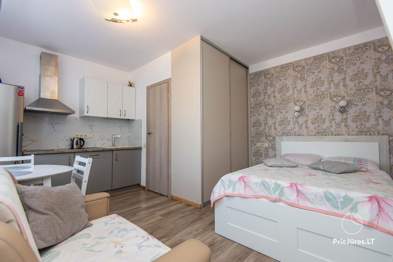 Rent of two apartments Sea of Nida and Sea of Nida 2