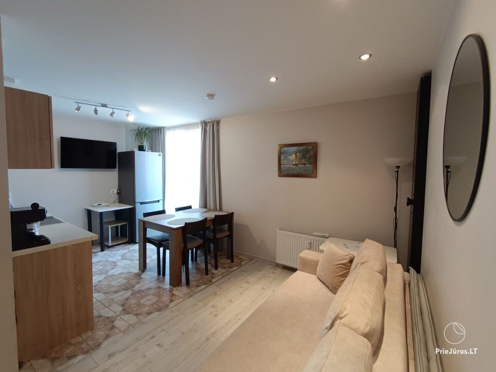 Two rooms apartment in Nida, Curonian Spit