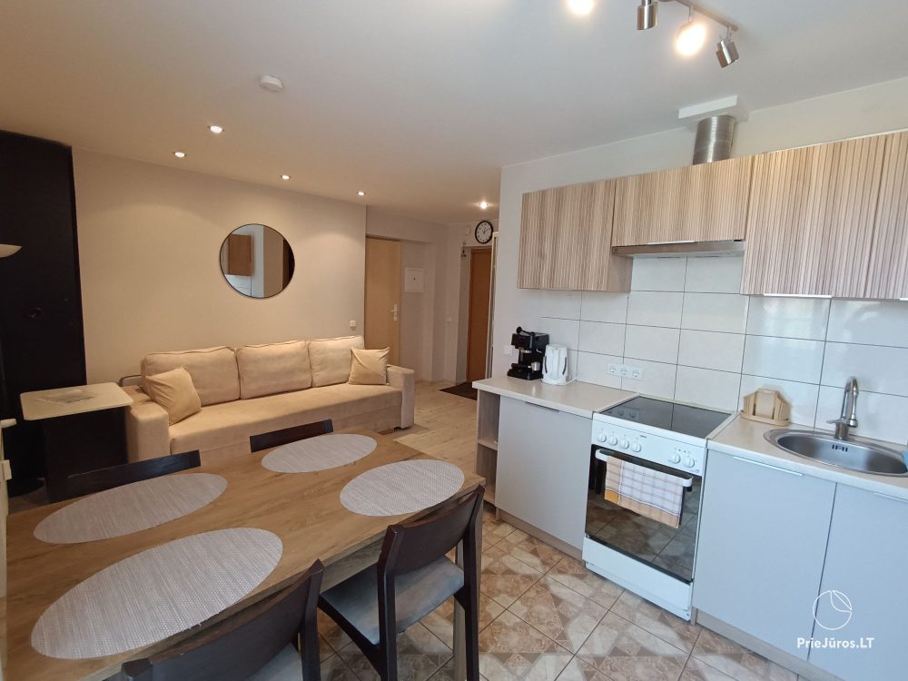 Two rooms apartment in Nida, Curonian Spit