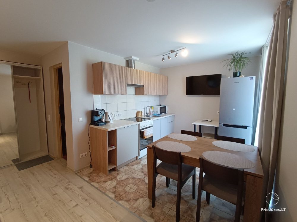 Two rooms apartment in Nida, Curonian Spit
