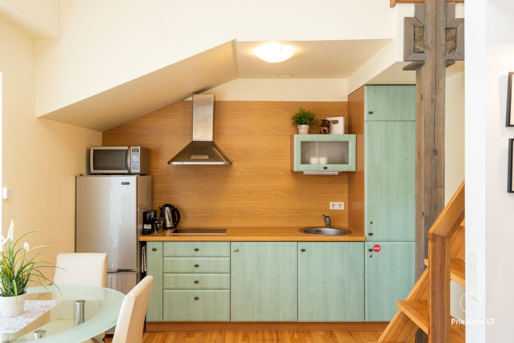 5* Apartament & SPA in Nida