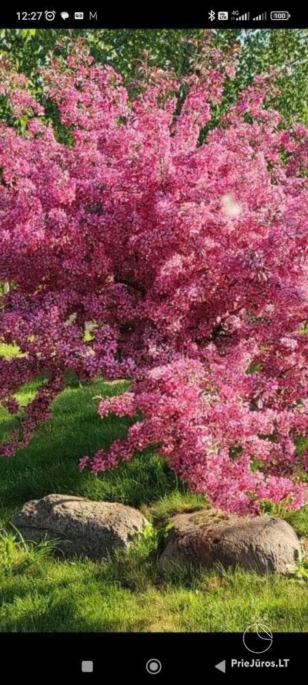 Новые домики с кухнями, террасами в Швянтойи Vasare