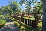 New bungalows with terraces in Sventoji Vasare - 5