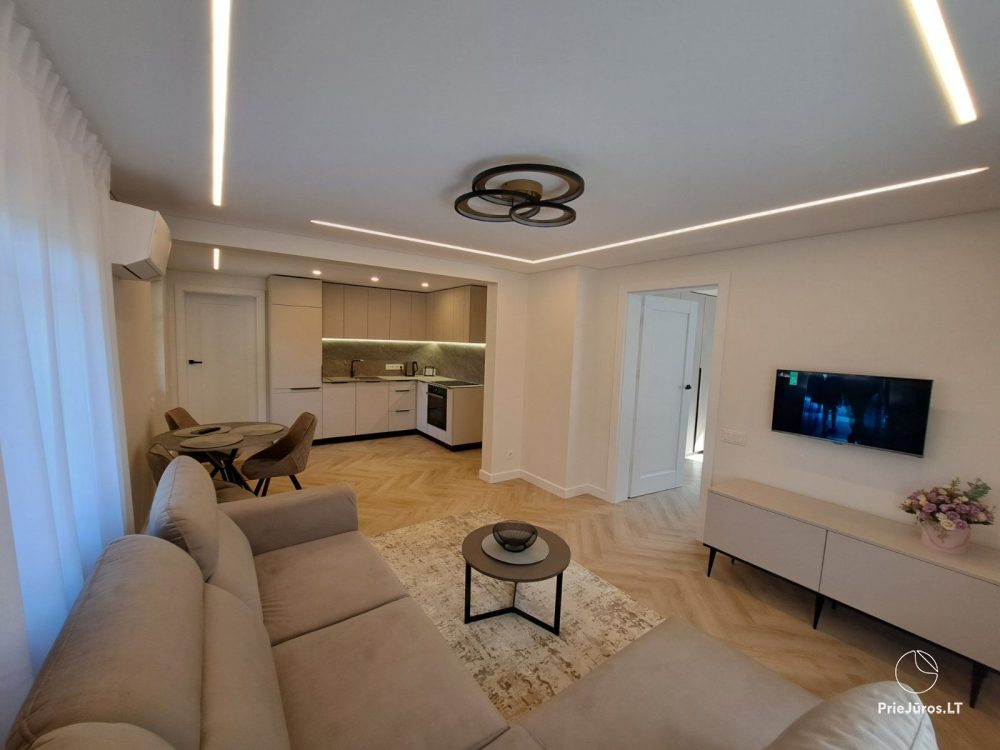 Stylish apartment with a private yard and a cozy house overlooking the lagoon for rent in Preila