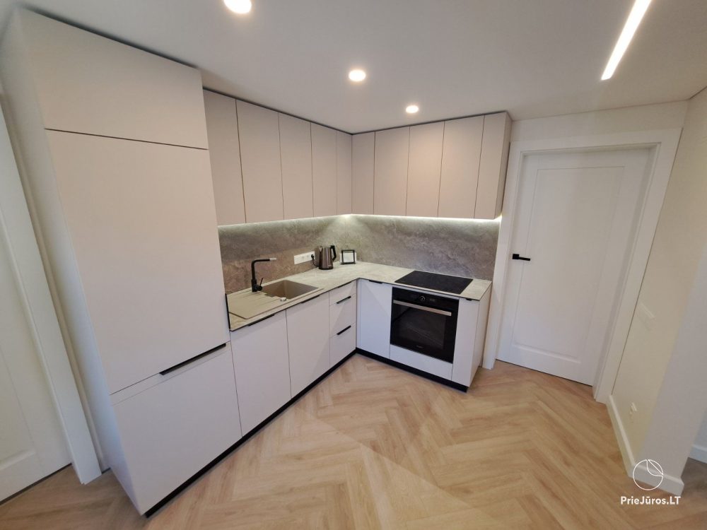 Stylish apartment with a private yard and a cozy house overlooking the lagoon for rent in Preila