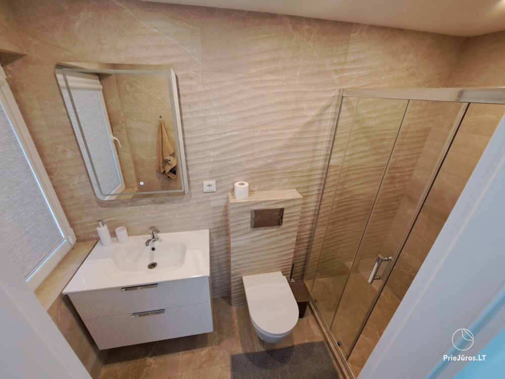 Stylish apartment with a private yard and a cozy house overlooking the lagoon for rent in Preila