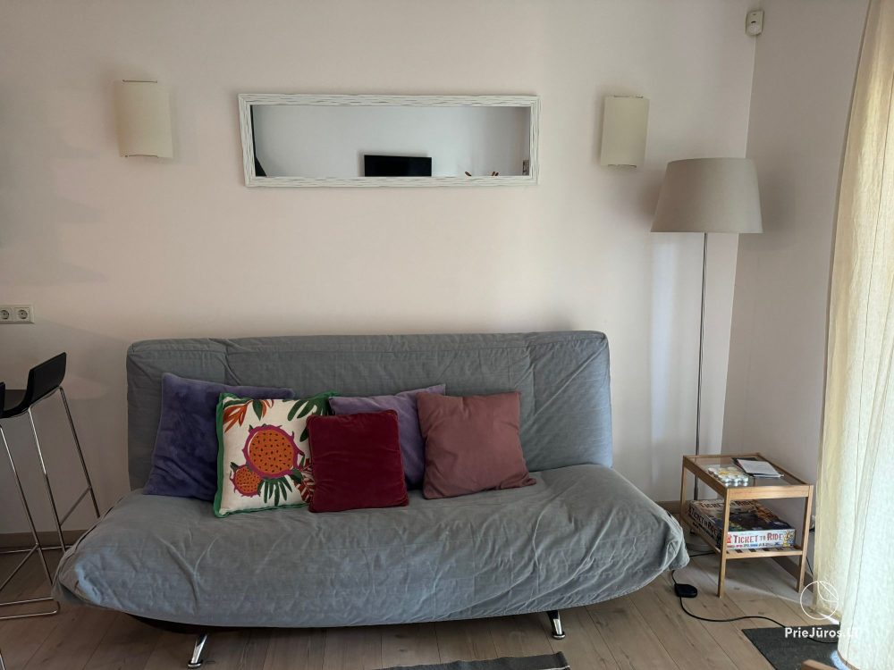 Cosy apartment for Your great rest in Pervalka
