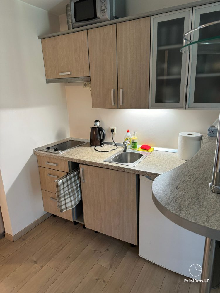 Cosy apartment for Your great rest in Pervalka