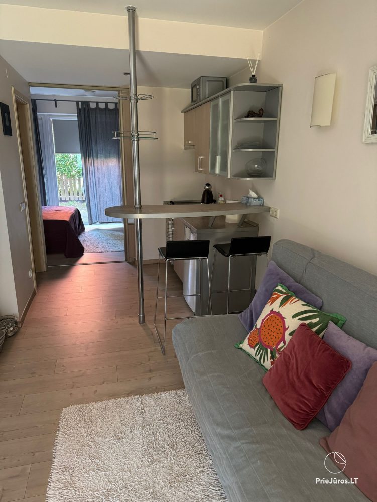 Cosy apartment for Your great rest in Pervalka