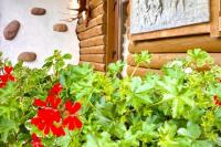 Holiday house with terrace and apartment for two persons for rent in Kunigiskiai