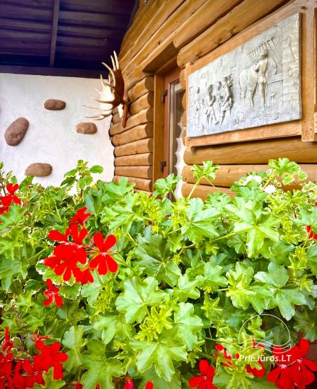 Holiday house with terrace for rent in Kunigiskiai - 1