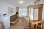 Apartment with a separate entrance from the yard, terrace, kitchen - 4