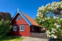 Flat, cottage and log-hut Rent in Nida