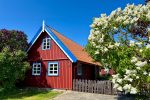 Flat, cottage and log-hut Rent in Nida