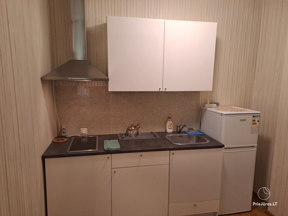 Apartments in Juodkrantė 'Pas Reginą': near pinewoods, Eve's Hill, close to the lagoon