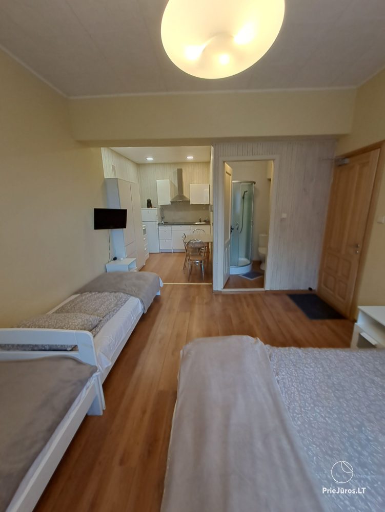Apartments in Juodkrantė 'Pas Reginą': near pinewoods, Eve's Hill, close to the lagoon