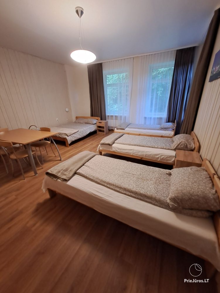Apartments in Juodkrantė 'Pas Reginą': near pinewoods, Eve's Hill, close to the lagoon