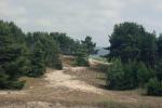 Double and triple apartments (2+1) for rent in Nida, Curonian Spit - 6