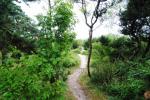 Cabins by the sea in the dunes - 2