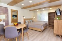 Apartment in Palanga with a terrace and separate entrance from the yard